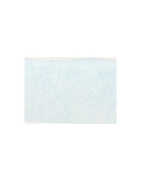 Siateczka ozdobna - błękitna