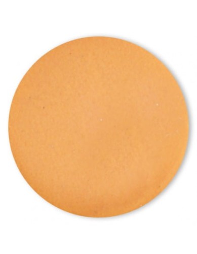 Puder kolorowy 4Pro Nail Tech 6g - Mango