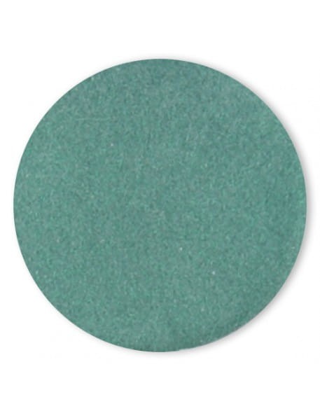 Puder kolorowy 4Pro Nail Tech 6g - Shine Green