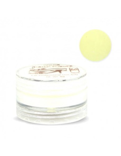 Puder kolorowy RaNails  6g - Pastel Yellow