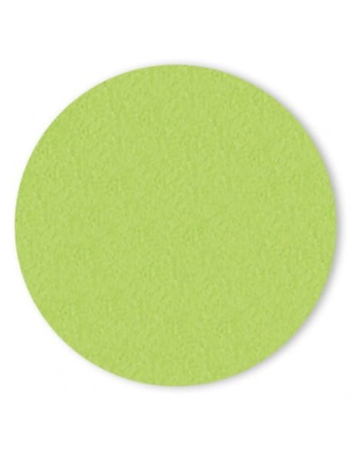 Puder kolorowy 4Pro Nail Tech 6g - Jadeite