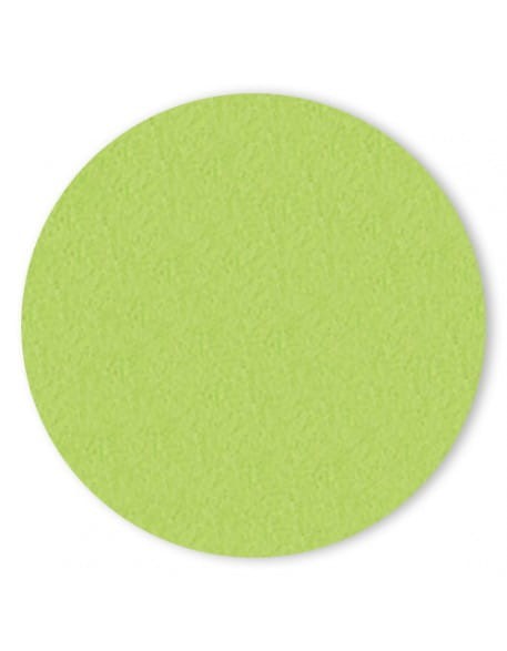 Puder kolorowy 4Pro Nail Tech 6g - Jadeite