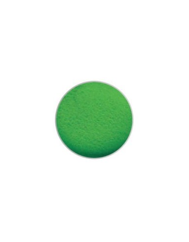 Puder kolorowy ESN Color Acrylic Powder 6g - Lime