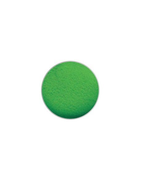 Puder kolorowy ESN Color Acrylic Powder 6g - Lime