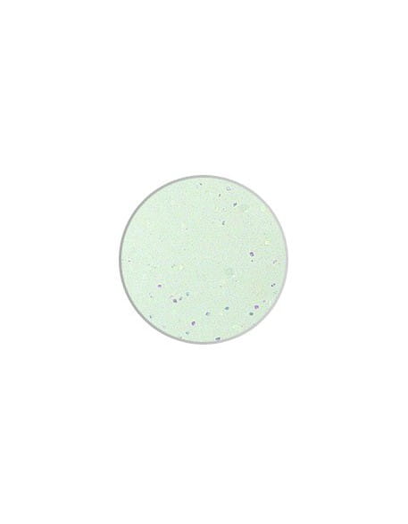 Puder kolorowy ESN Color Acrylic Powder 6g - White Glitter