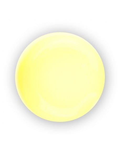 Farbka akrylowa RaNails RaPaint - R006  - Chamois