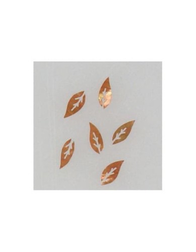 Ozdoby z muszelek 20szt. wzór nr 19 - brązowe opalizujące