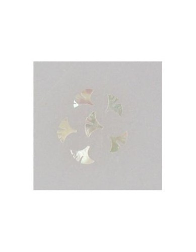 Ozdoby z muszelek 20szt. wzór nr 21 - białe opalizujące