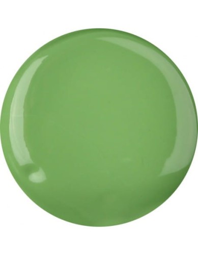 Farbka akrylowa RaNails RaPaint - R043 - Forest Green