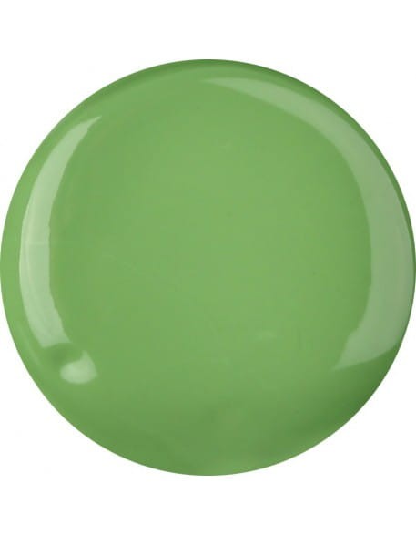 Farbka akrylowa RaNails RaPaint - R043 - Forest Green