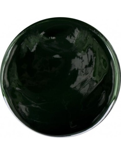 Farbka akrylowa RaNails RaPaint - R022 - Fir Green