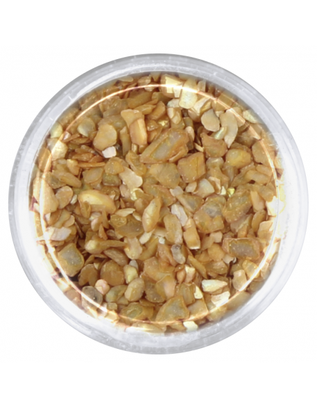 Ozdoby muszelki - brązowe