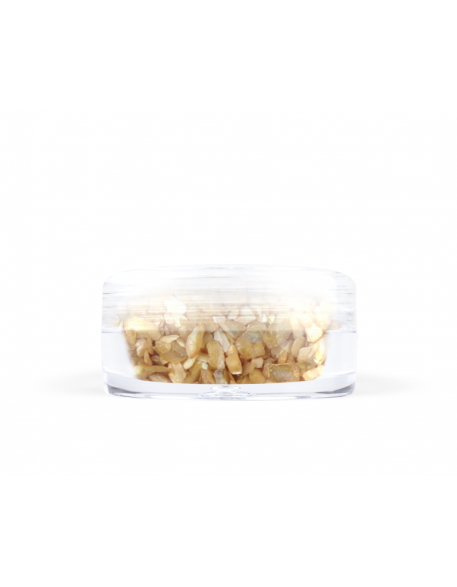 Ozdoby muszelki - brązowe