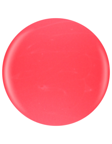 Farbka żelowa nr 03 EFexclusive Paint Gel 5g