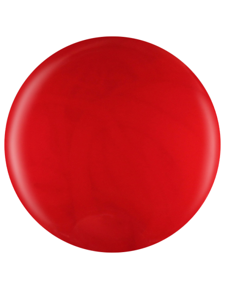 Farbka żelowa nr 05 EFExclusive Paint Gel 5g