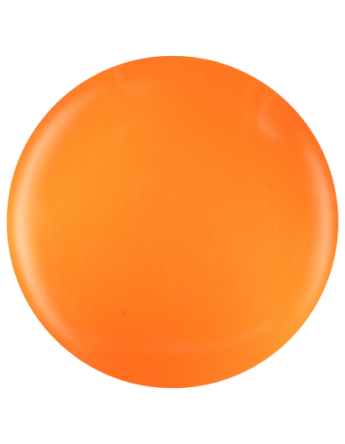 Farbka żelowa nr 08 EFexclusive Paint Gel 5g