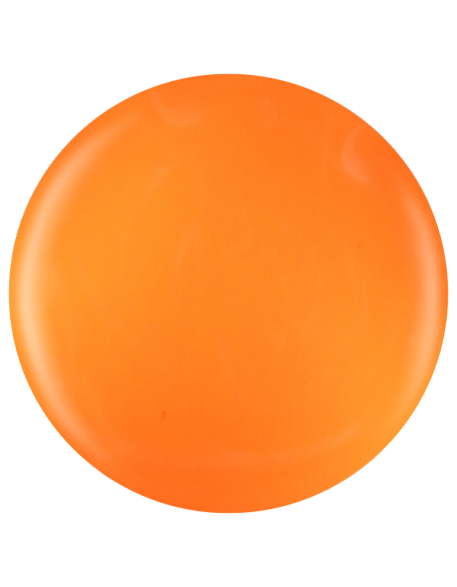 Farbka żelowa nr 08 EFexclusive Paint Gel 5g