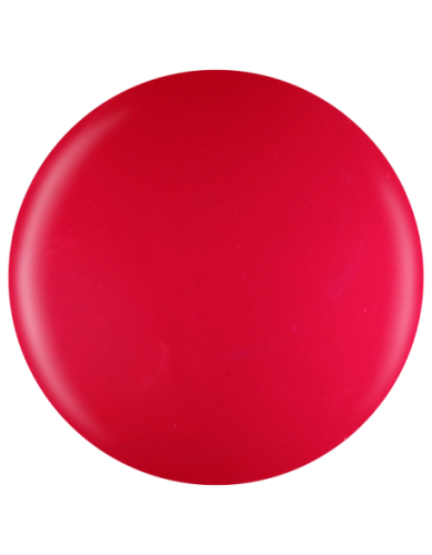 Farbka żelowa nr 11 EFexclusive Paint Gel 5g