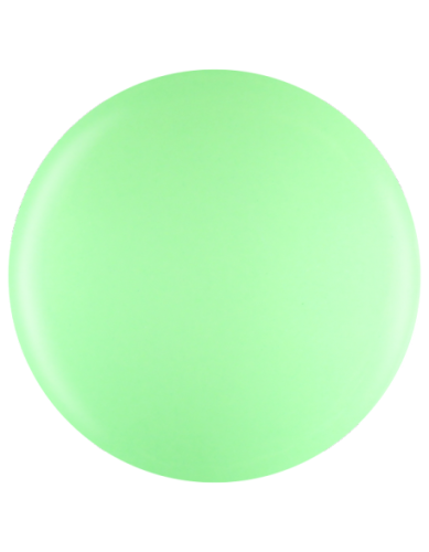 Farbka żelowa nr 13 EFexclusive Paint Gel 5g