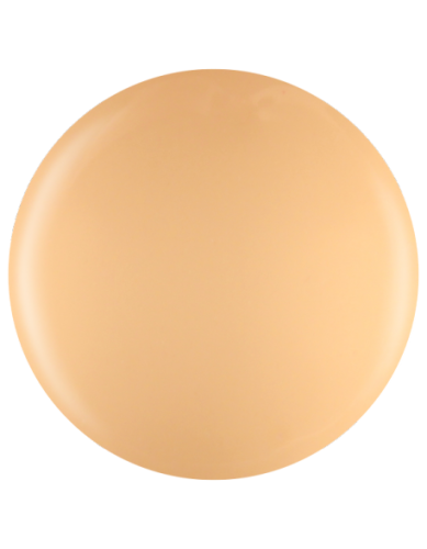 Farbka żelowa nr 15 EFexclusive Paint Gel 5g