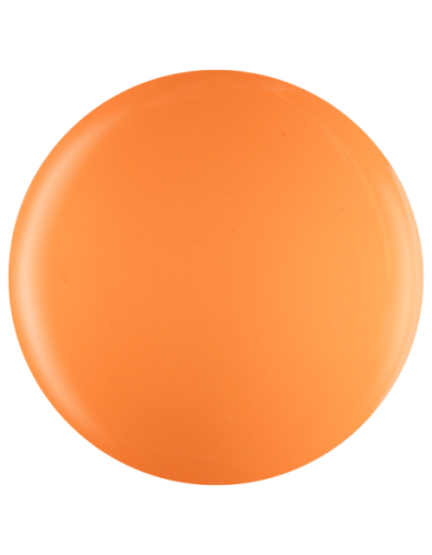 Farbka żelowa nr 17 EFexclusive Paint Gel 5g