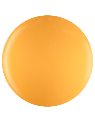 Farbka żelowa nr 18 EFexclusive Paint Gel 5g