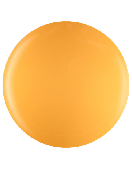 Farbka żelowa nr 18 EFexclusive Paint Gel 5g