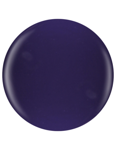 Farbka żelowa nr 19 EFexclusive Paint Gel 5g