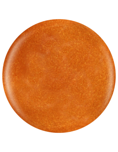 Farbka żelowa nr 24 EFexclusive Paint Gel 5g