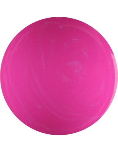 Farbka żelowa 4Pro Nail Tech Paint Gel 5g - Fushia