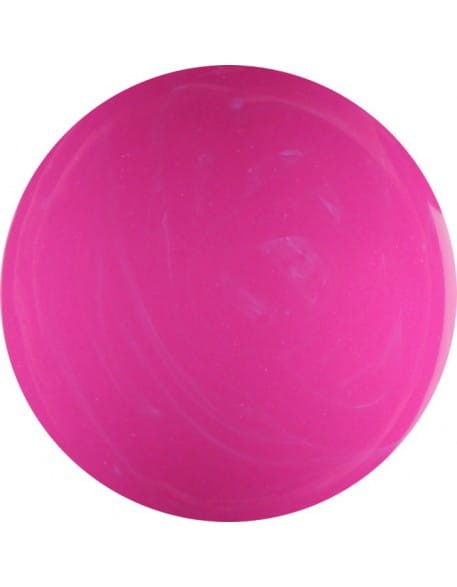 Farbka żelowa 4Pro Nail Tech Paint Gel 5g - Fushia
