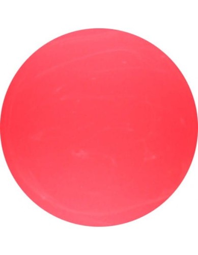 Farbka żelowa 4Pro Nail Tech Paint Gel 5g - Neon Pink