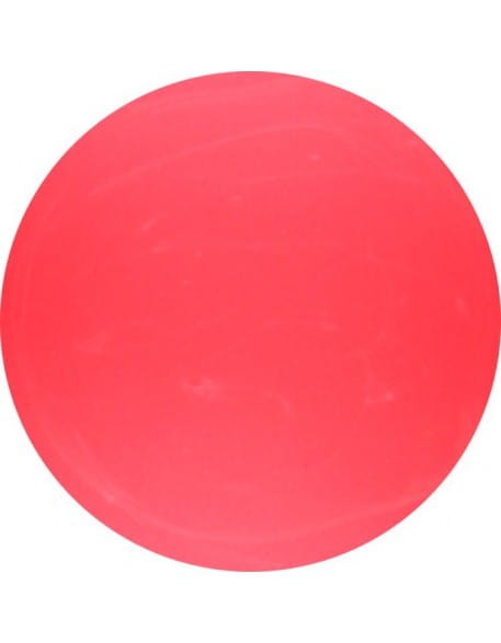 Farbka żelowa 4Pro Nail Tech Paint Gel 5g - Neon Pink