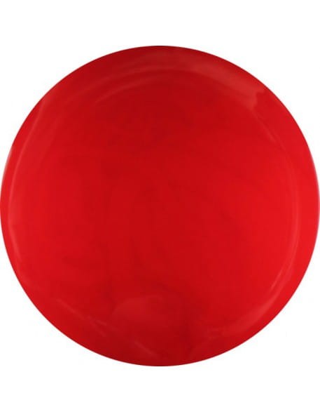 Farbka żelowa 4Pro Nail Tech Paint Gel 5g - Red