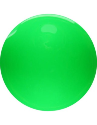 Farbka żelowa 4Pro Nail Tech Paint Gel 5g - Neon Green