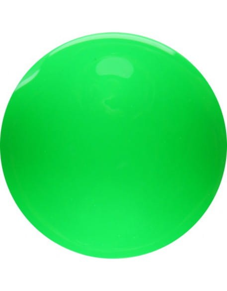 Farbka żelowa 4Pro Nail Tech Paint Gel 5g - Neon Green