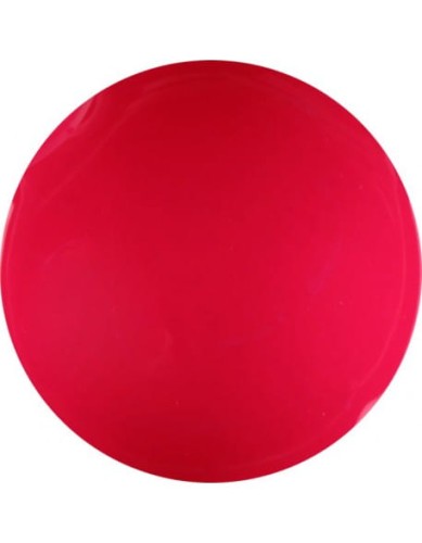 Farbka żelowa 4Pro Nail Tech Paint Gel 5g - Magenta