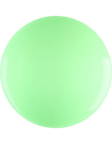 Farbka żelowa 4Pro Nail Tech Paint Gel 5g - Light Green