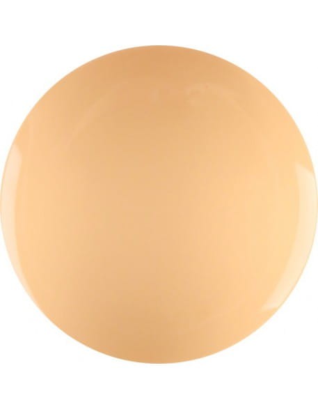 Farbka żelowa 4Pro Nail Tech Paint Gel 5g - Apricot