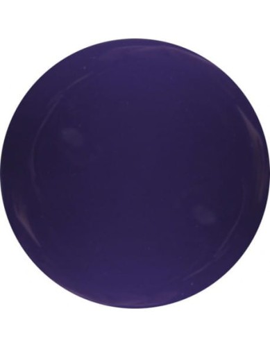 Farbka żelowa 4Pro Nail Tech Paint Gel 5g - Violet