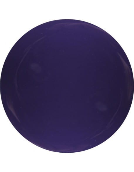 Farbka żelowa 4Pro Nail Tech Paint Gel 5g - Violet