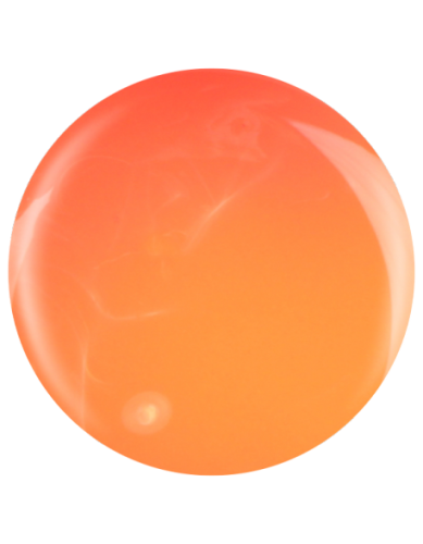 Farbka żelowa nr 26 EFexclusive Paint Gel 5g