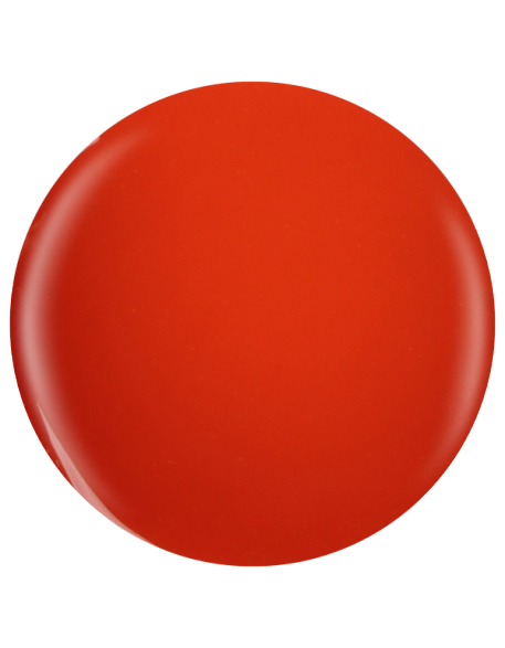 Farbka żelowa nr 27 EFexclusive Paint Gel 5g