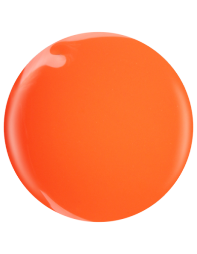 Farbka żelowa nr 28 EFexclusive Paint Gel 5g