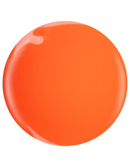 Farbka żelowa nr 28 EFexclusive Paint Gel 5g