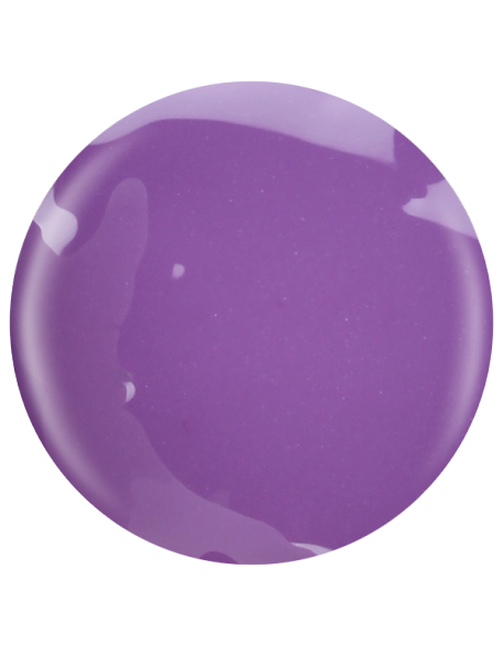 Farbka żelowa nr 30 EFexclusive Paint Gel 5g