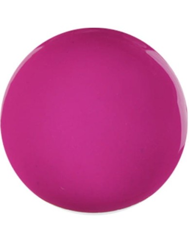 Farbka żelowa nr 31 EFexclusive Paint Gel 5g