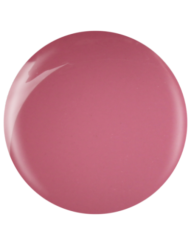 Farbka żelowa nr 36 EFexclusive Paint Gel 5g