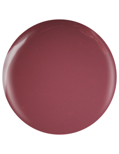 Farbka żelowa nr 39 EFexclusive Paint Gel 5g