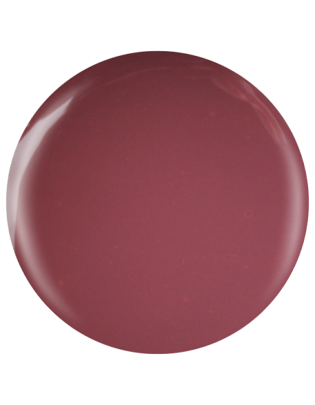 Farbka żelowa nr 39 EFexclusive Paint Gel 5g